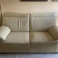 Divani in pelle