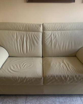 Divani in pelle