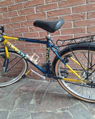 bicicletta ragazzo/a