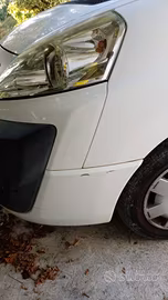 Autocarro Fiat Scudo a Empoli