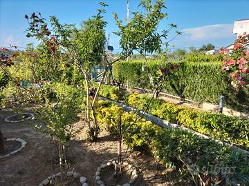 Villetta a schiera con giardino panoramico
