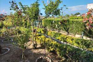 Villetta a schiera con giardino panoramico