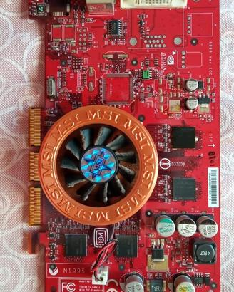 Scheda video MSI Nvidia