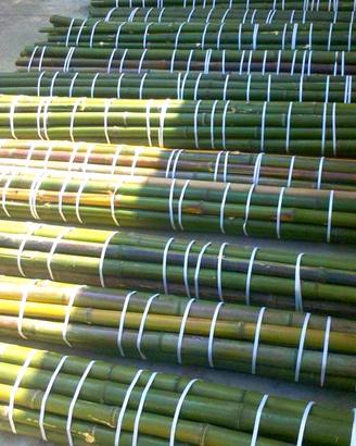 Bambu lunghezza richiesta con diametri 1 a 10 cm.