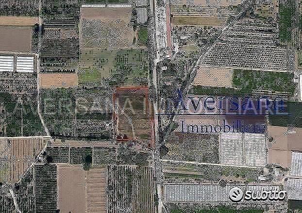 Terreno agricolo di 8950 mq con fronte starda - Vista 2