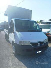 FIAT ducato centina e sponda caricatrice