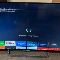 TV Sony KD-49X8309C 49 pollici