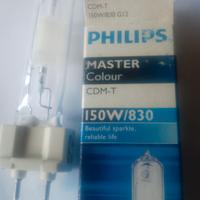lampadine 