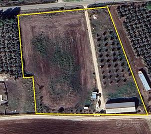 Terreno agricolo con opificio annesso