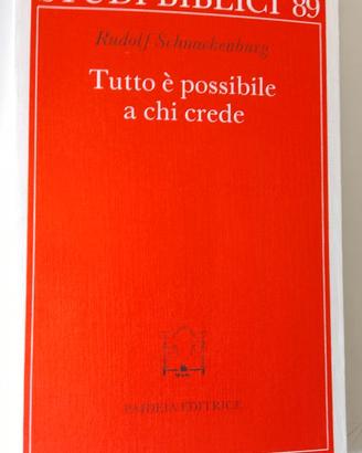 Tutto è possibile a chi crede di Schnackenburg