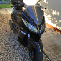 Kawasaki J300