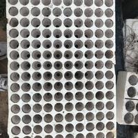 Seminiere polistirolo fori piccoli