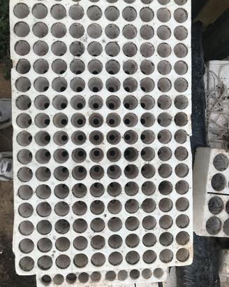 Seminiere polistirolo fori piccoli