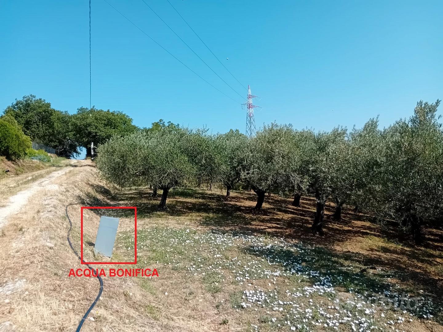 Terreno agricolo Alanno 4500mq - Vista 3