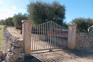 Terreno rustico