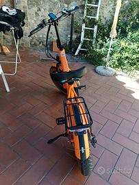 bici elettrica engwe ep- 2pro