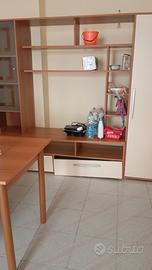 Stanze per studentesse