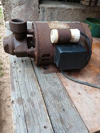 Motore autoclave lowara.