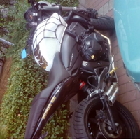 Honda Hornet 2007