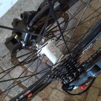 Ruote tune king kong ztr podium mmx