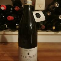 NINO NEGRI SFURSAT 2015