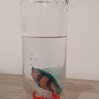 scultura vetro murano Bottiglia acquario anni 70