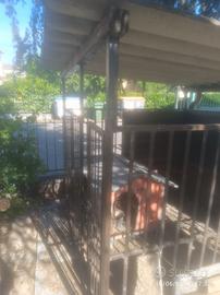 Serraglio per cani con cuccia 1,8 x 1,8 mt