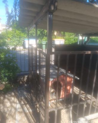 Serraglio per cani con cuccia 1,8 x 1,8 mt