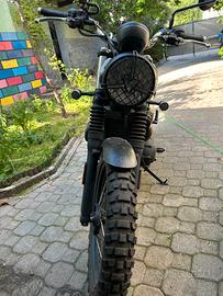 Triumph Street Scrambler 900