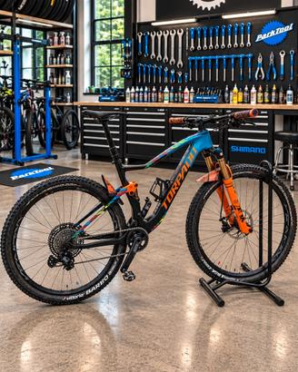 MTB Torpado Renero X