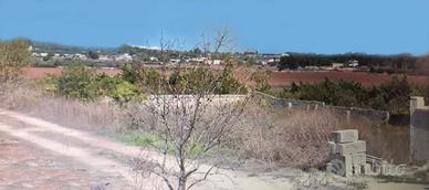 Terreno edificabile
