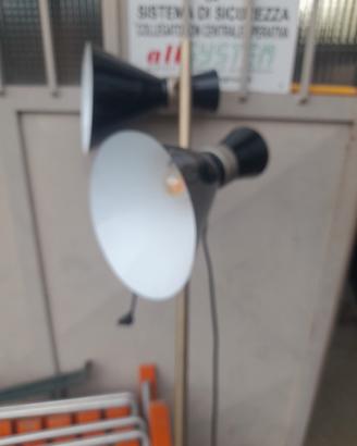 Lampada 