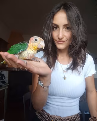 Baby pappagalli