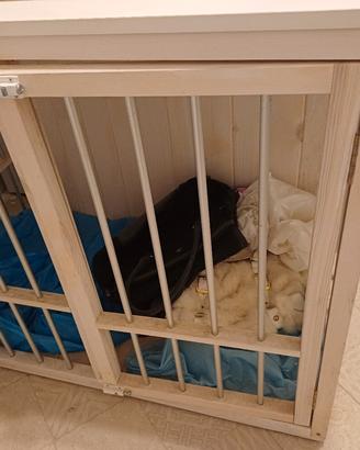 cuccia box fa interno 