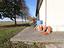 Immagine 29