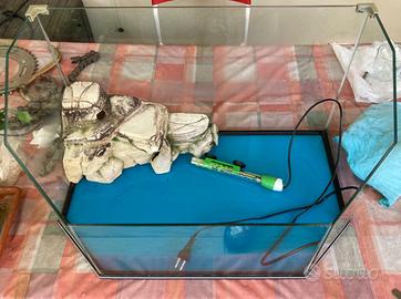 Acquaterrario acquario per tartarughe