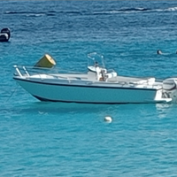 Motoscafo open Conero