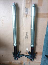 Forcelle, ammortizzatore sterzo, piastra DUCATI