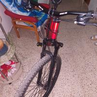 mtb Bottecchia 109