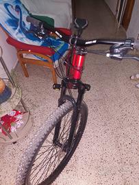 mtb Bottecchia 109