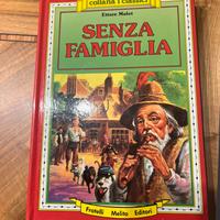 Libro Senza famiglia