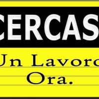 Barista/cameriera/stiro/pulizie/agricoltura