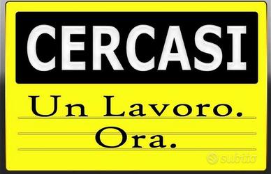 Barista/cameriera/stiro/pulizie/agricoltura