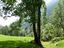 Immagine 13