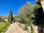 Immagine 28