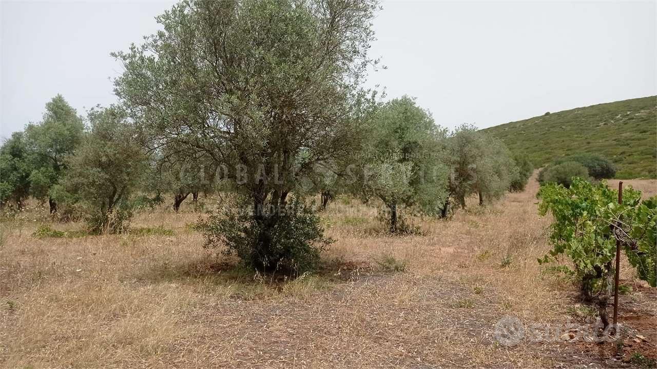 Grande terreno a Guardia Grande - Altro