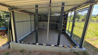 box per cane 19 mq  con cuccia e veranda