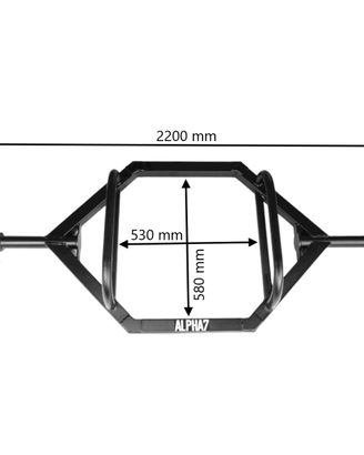 Bilanciere Hex trap bar 50mm allenamento palestra