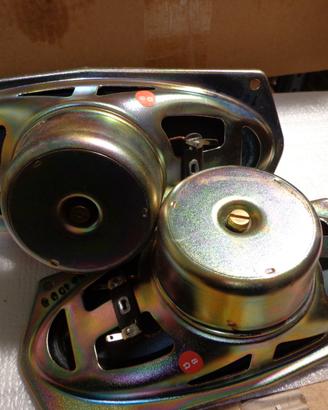 Altoparlanti 8 Ohm