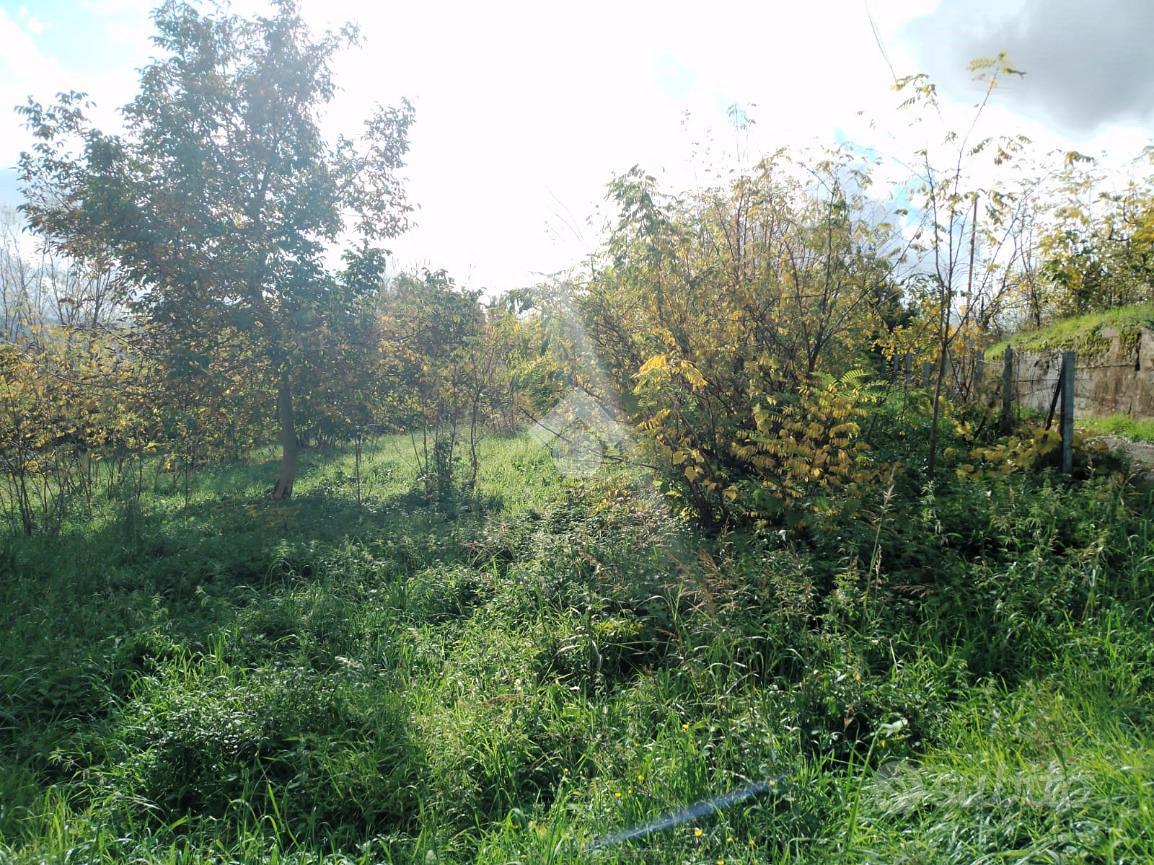 TER. RESIDENZIALE A MARANO PRINCIPATO - Vista 5